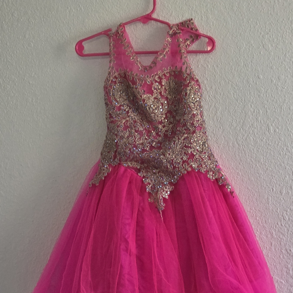 Sparkling Pink and Gold Kids Costume